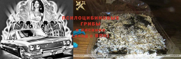 твердый Аркадак