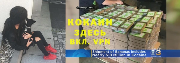 твердый Аркадак